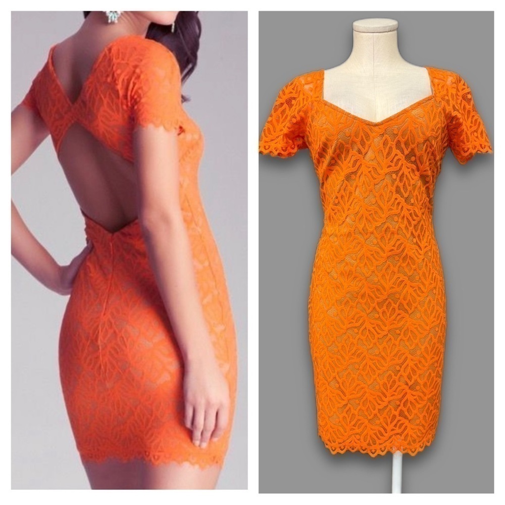 BEBE woman’s size large orange lace over mini sexy dress with back opening